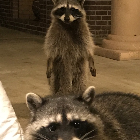 A little about my closet.... - Picture 2 of 8